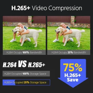 ANNKE 12MP 3K Dual Light PoE Security Camera - Thumbnail Image 6